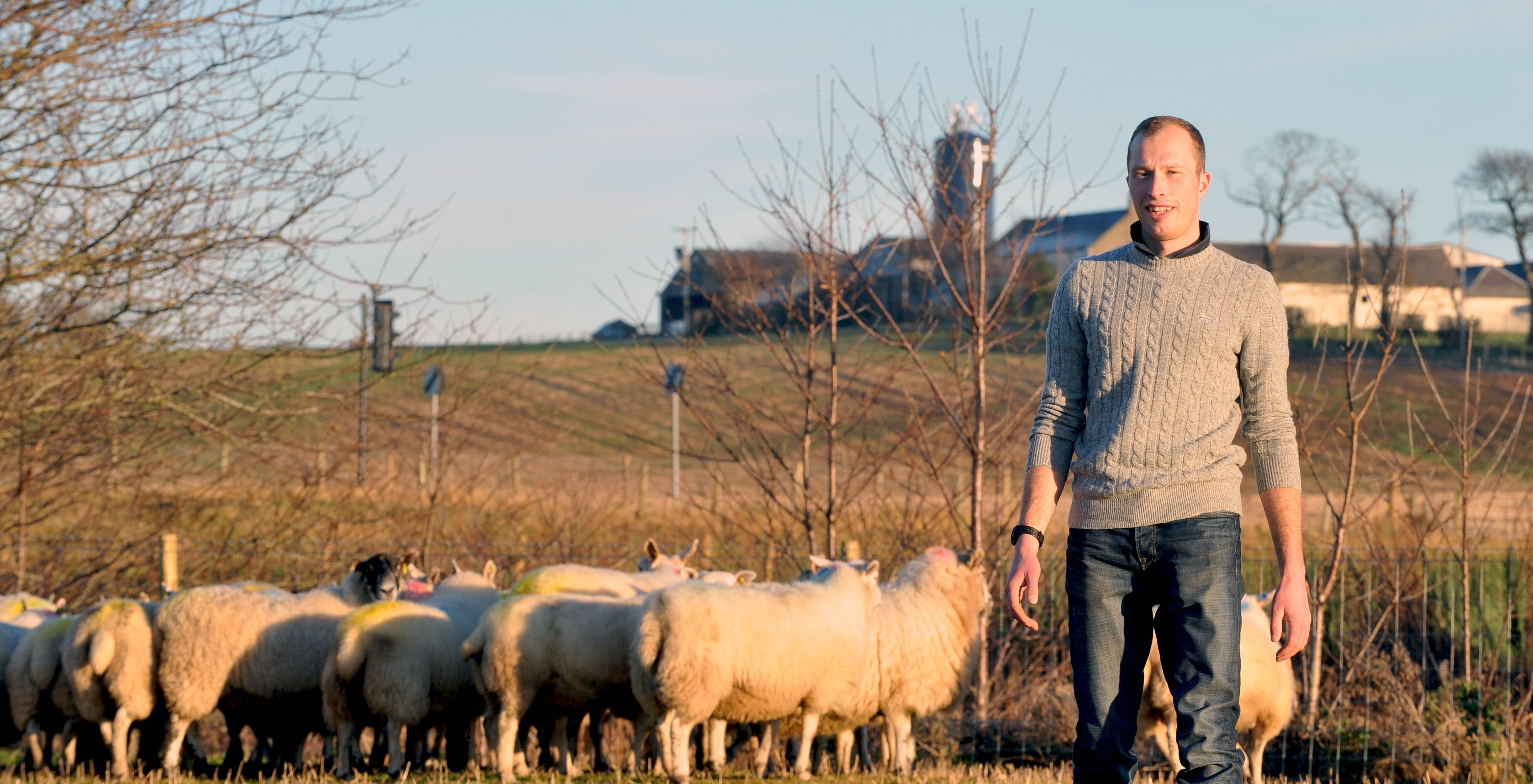a man standing in front of a herd of sheep
